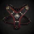 M / Harness Only
