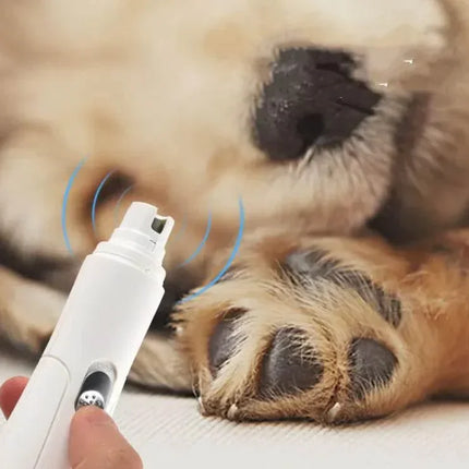 twda6GE3gFmjTphm - Nai Pet Store