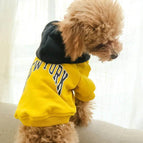 Yellow / XL