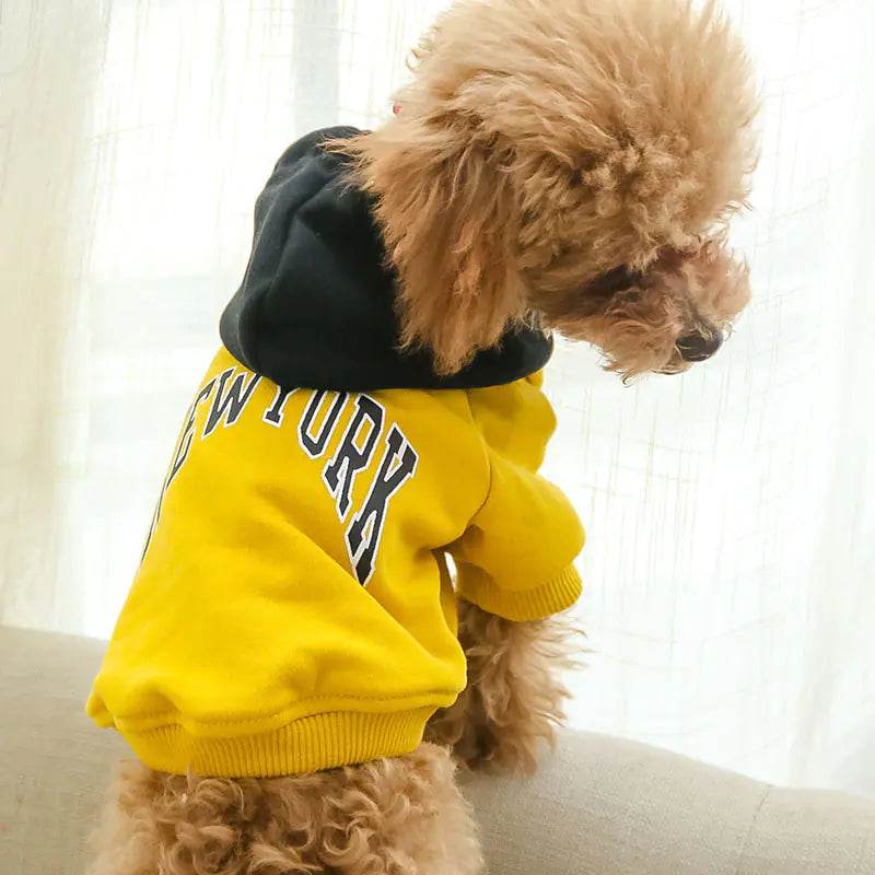 Casual Hooded Sweatshirt for Pets in Terry Cotton - Nai Pet Store