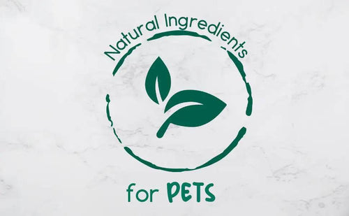 vAdAGhEe9DJOvYt - Nai Pet Store
