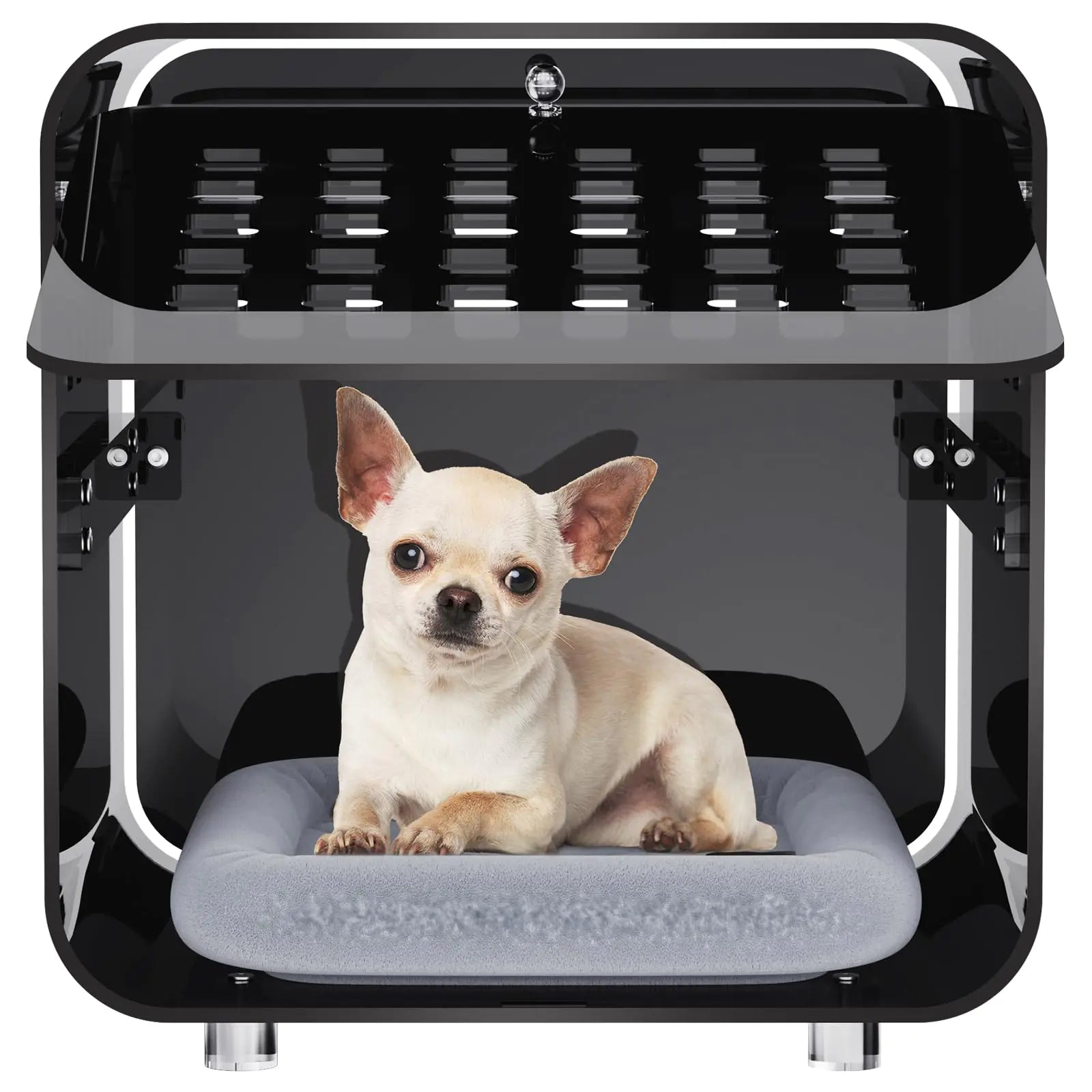 Acrylicolor Acrylic Small Pet Crate