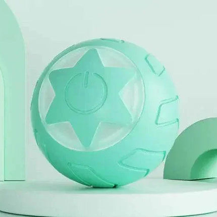 zbFz1XOWOLQ576U2 - Nai Pet Store